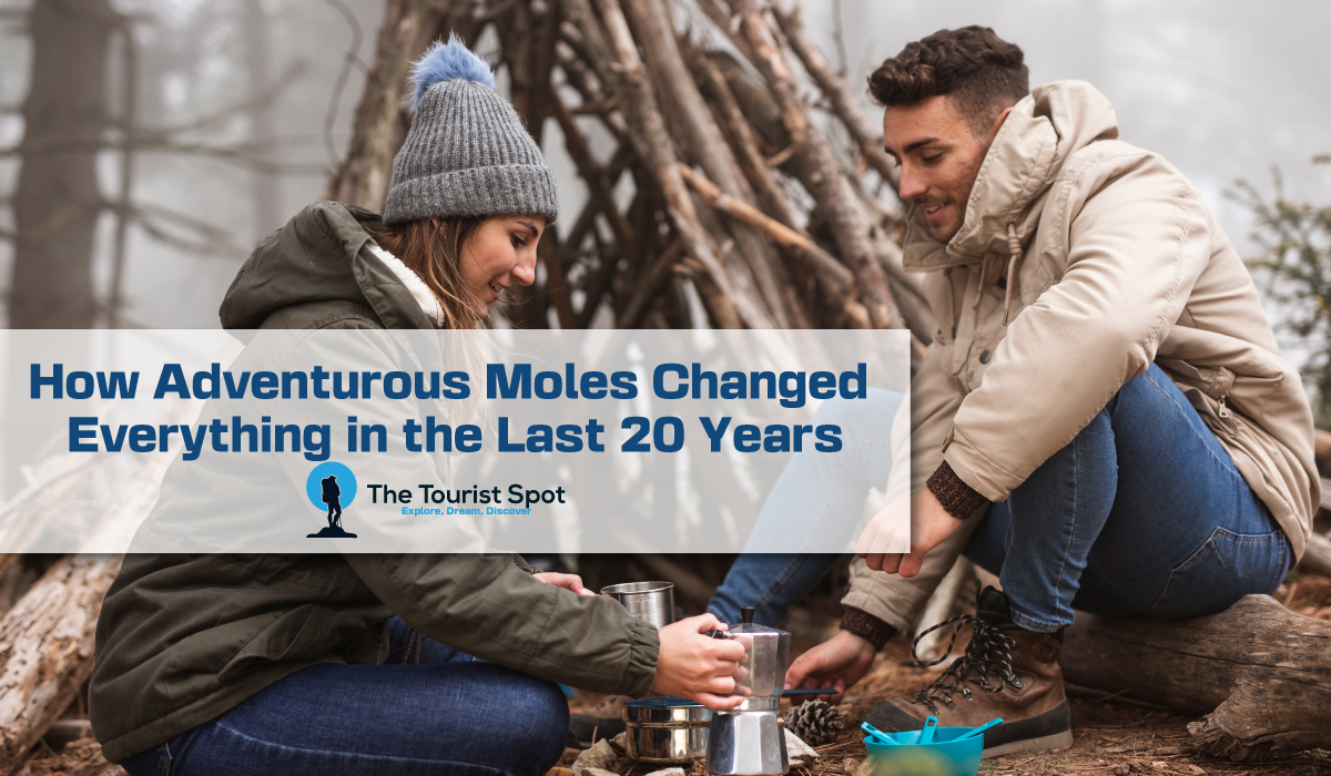 How Adventurous Moles Changed Everything in the Last 20 Years