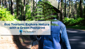 Eco Tourism: Explore Nature with a Green Footprint