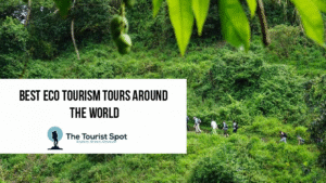 Best Eco Tourism Tours Around the World