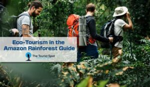 Eco-Tourism in the Amazon Rainforest Guide