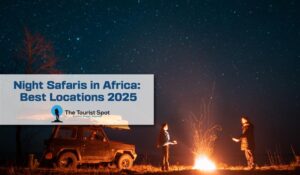 Night Safaris in Africa: Best Locations 2025