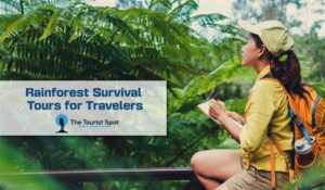 Rainforest Survival Tours for Travelers