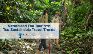 Nature and Eco Tourism: Top Sustainable Travel Trends