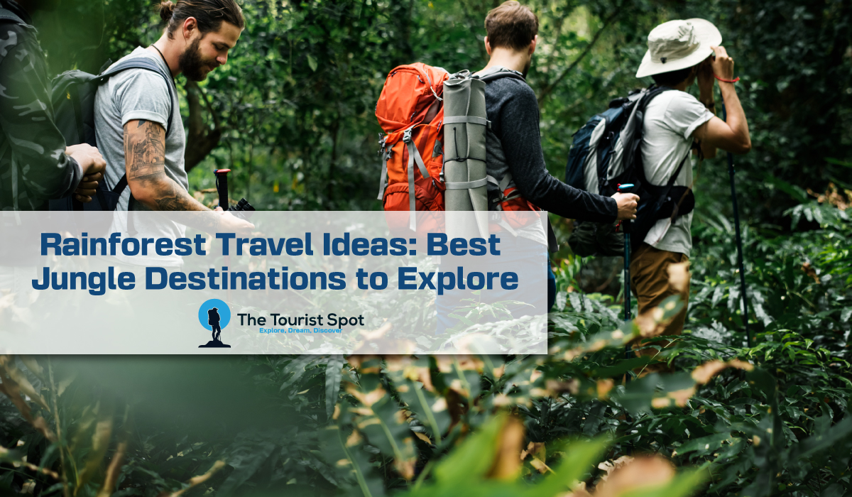 Rainforest Travel Ideas: Best Jungle Destinations to Explore