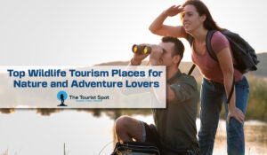 Top Wildlife Tourism Places for Nature and Adventure Lovers