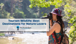 Tourism Wildlife: Best Destinations for Nature Lovers