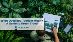 What Does Eco Tourism Mean? A Guide to Green Travel