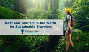 Best Eco Tourism in the World for Sustainable Travelers