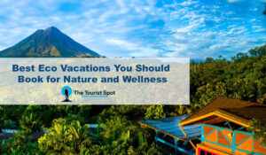 Best Eco Vacations You Should Book for Nature and Wellness