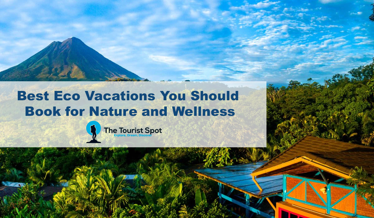 Best Eco Vacations You Should Book for Nature and Wellness