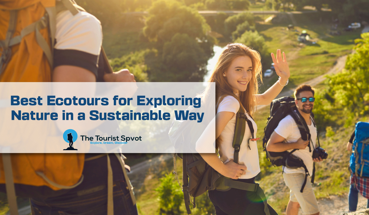 Best Ecotours for Exploring Nature in a Sustainable Way