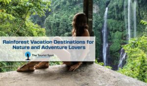 Rainforest Vacation Destinations for Nature and Adventure Lovers