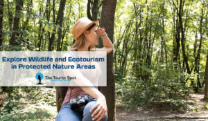 Explore Wildlife and Ecotourism in Protected Nature Areas