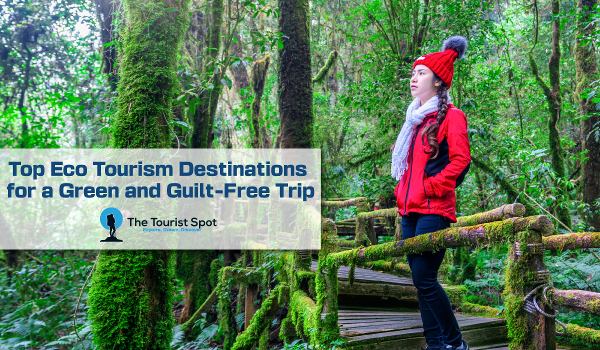 Top Eco Tourism Destinations for a Green and Guilt-Free Trip
