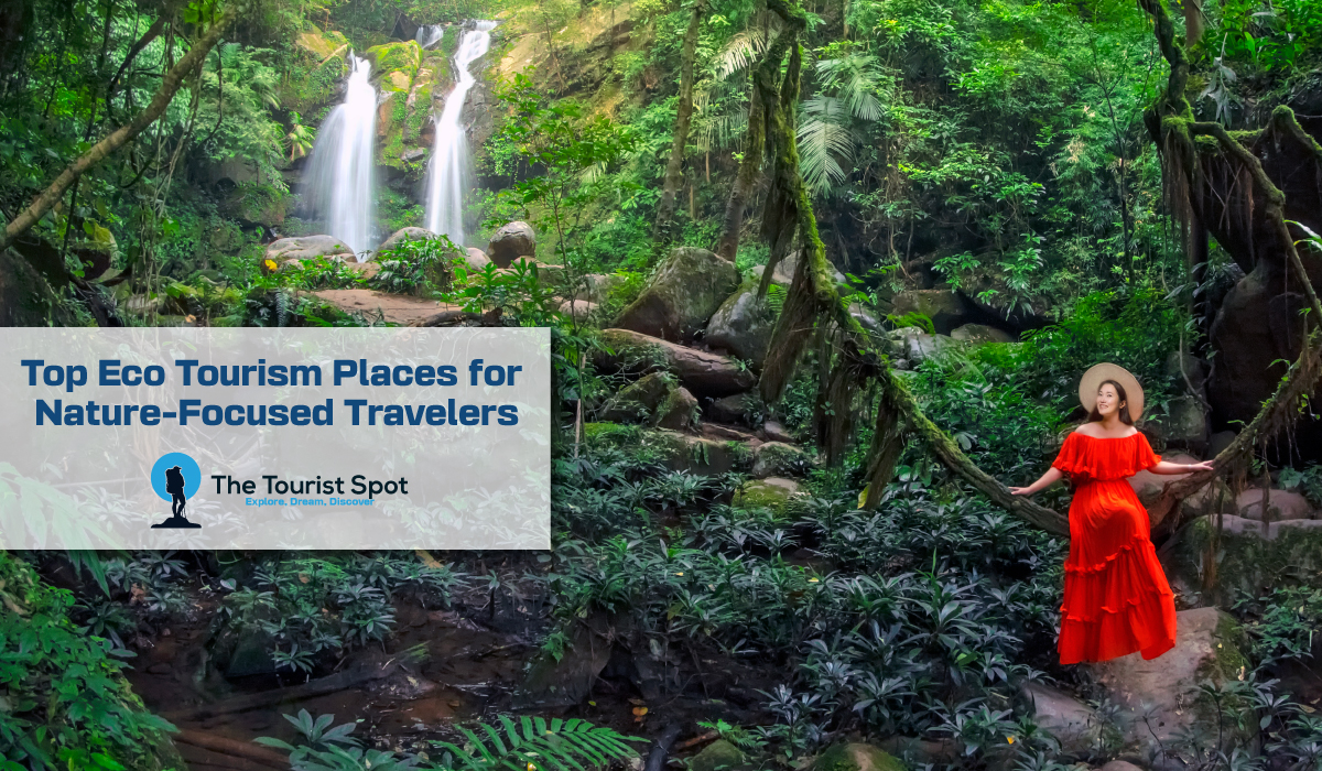 Top Eco Tourism Places for Nature-Focused Travelers