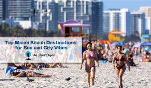 Top Miami Beach Destinations for Sun and City Vibes