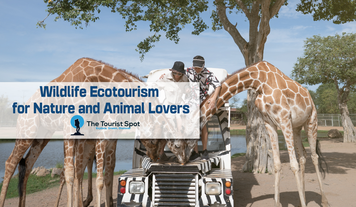 Wildlife Ecotourism Experiences for Nature and Animal Lovers